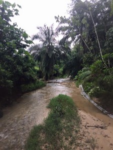 Bindoora Estate Hash Run Site