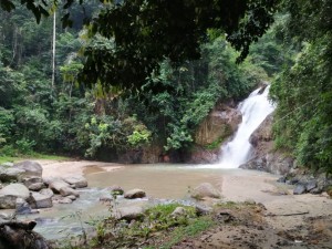 WhatsApp Image 2018-02-25 at 12.04.34 PM (1)